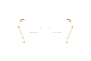 Vue arrière Dolce & Gabbana DG3438 (3133)