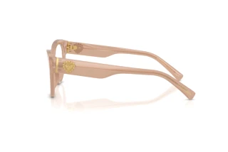 Vue latérale Dolce & Gabbana DG3440 (3042)