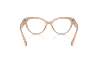 Vue arrière Dolce & Gabbana DG3440 (3042)