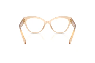 Vue arrière Dolce & Gabbana DG3440 (3089)