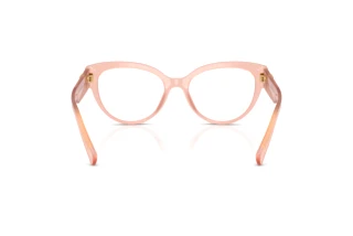 Vue arrière Dolce & Gabbana DG3440 (3384)