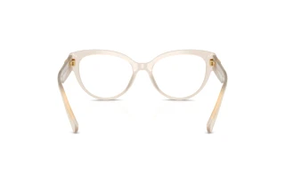 Vue arrière Dolce & Gabbana DG3440 (3420)