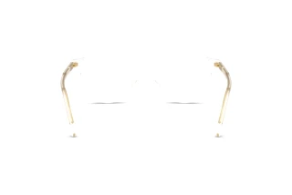 Vue arrière Dolce & Gabbana DG3443 (3133)