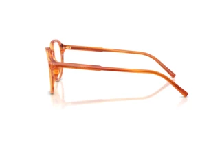 Vue latérale Dolce & Gabbana DG3444 (3483)