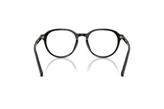 Vue arrière Dolce & Gabbana DG3444 (501)