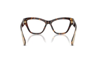 Vue arrière Dolce & Gabbana DG3448 (502)