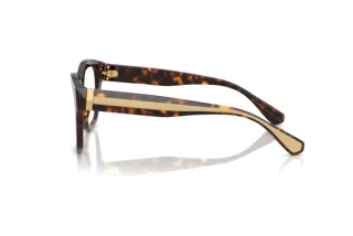 Vue latérale Dolce & Gabbana DG3449 (502)