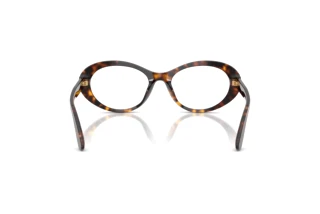 Vue arrière Dolce & Gabbana DG3450 (502)