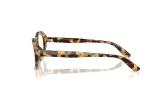 Vue latérale Dolce & Gabbana DG3450 (512)
