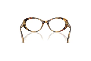 Vue arrière Dolce & Gabbana DG3450 (512)