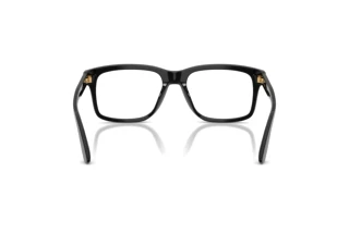 Vue arrière Dolce & Gabbana DG3453 (501)
