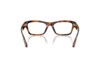 Vue arrière Dolce & Gabbana DG3454 (3497)