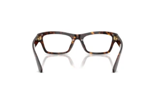 Vue arrière Dolce & Gabbana DG3454 (502)