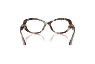 Vue arrière Dolce & Gabbana DG3455 (3498)