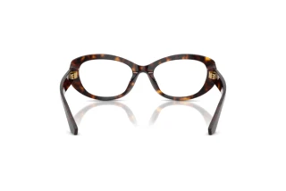 Vue arrière Dolce & Gabbana DG3455 (502)