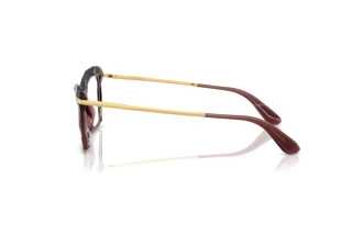 Vue latérale Dolce & Gabbana DG5025 (3045)