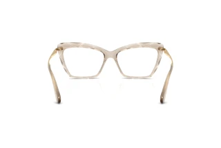 Vue arrière Dolce & Gabbana DG5025 (3432)