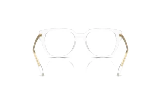 Vue arrière Dolce & Gabbana DG5087 (3133)