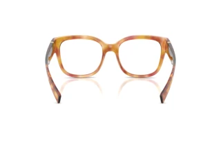 Vue arrière Dolce & Gabbana DG5115 (3477)