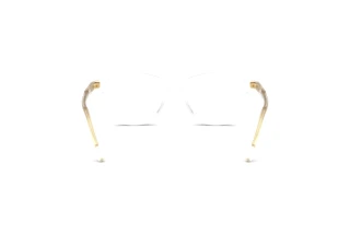 Vue arrière Dolce & Gabbana DX3002 (3133)