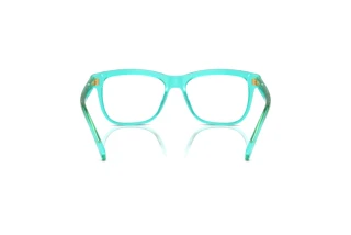Vue arrière Dolce & Gabbana DX3356 (3322)