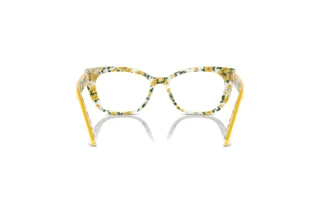 Vue arrière Dolce & Gabbana DX3357 (3443)