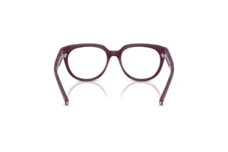 Vue arrière Dolce & Gabbana DX5007 (3360)