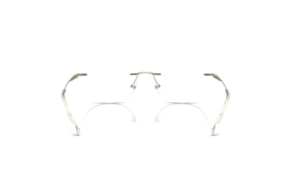 Vue arrière Emporio Armani EA1167 (3389)