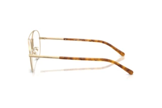 Vue latérale Emporio Armani EA1178 (3002)