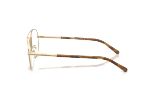 Vue latérale Emporio Armani EA1178 (3421)