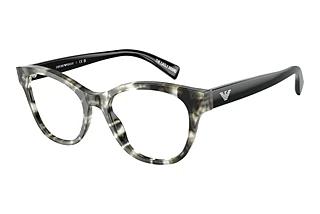 Vue de face Emporio Armani EA3162 (5193)