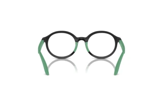 Vue arrière Emporio Armani EK3005 (5001)