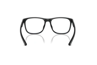 Vue arrière Ferrari Scuderia FZ8014D (521)