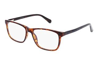 Fraymz AC399 C Turtle blue