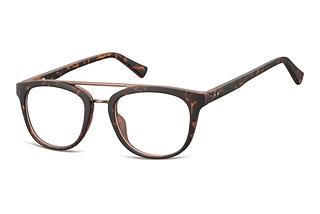 Fraymz CP135 A Turtle