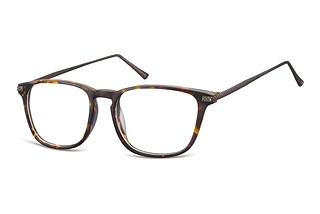 Fraymz CP144 B Turtle