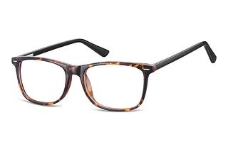 Fraymz CP153 A Turtle/Black