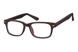 Fraymz CP156 A Turtle/Black