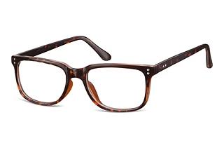 Fraymz CP159 E Turtle