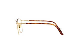 Vue latérale Giorgio Armani AR5132 (3002)