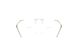 Vue arrière Giorgio Armani AR5147 (3002)