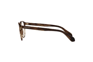 Vue latérale Giorgio Armani AR7216 (5942)