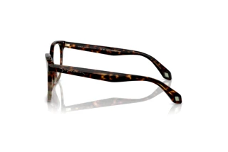 Vue latérale Giorgio Armani AR7246U (5879)
