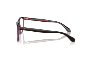 Vue latérale Giorgio Armani AR7255 (6088)
