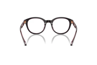 Vue arrière Giorgio Armani AR7256 (6088)