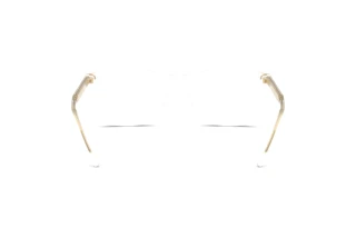 Vue arrière Giorgio Armani AR7258 (6075)