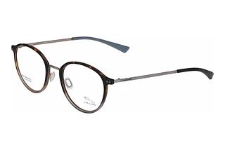 Jaguar 36830 5100 Braun