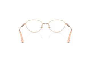 Vue arrière Jimmy Choo JC2009D (3008)