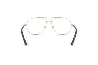Vue arrière Jimmy Choo JC2021 (3017)