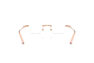 Vue arrière Jimmy Choo JC2025BD (3008)